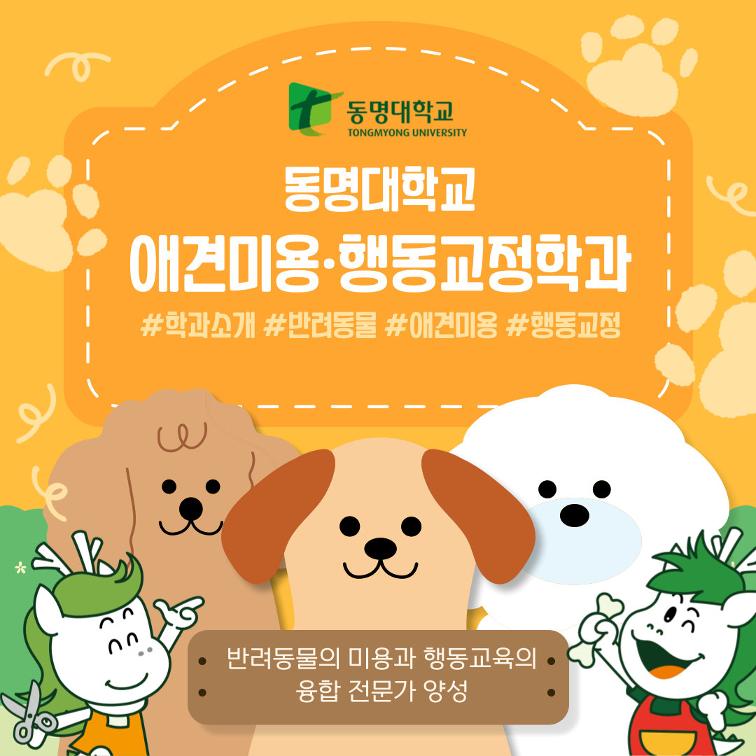 반려동물대학 카드뉴스