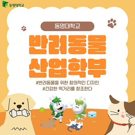 2025 반려동물산업학부 카드뉴스