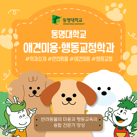 반려동물대학 카드뉴스